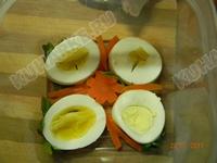 DSCN2619.JPG
